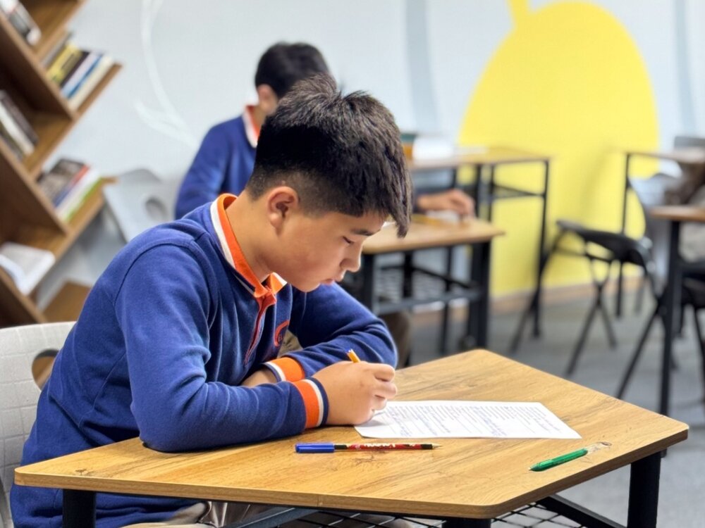 Olympiad preparation
